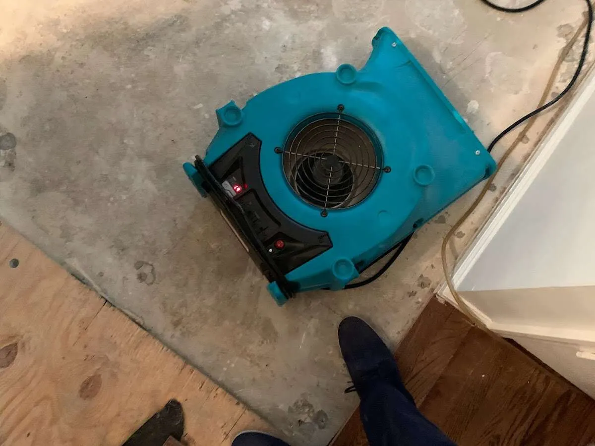 Air mover drying subfloor during Commercial Water Damage Restoration in Chackbay